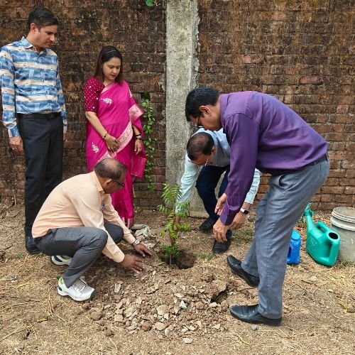 Environment Day